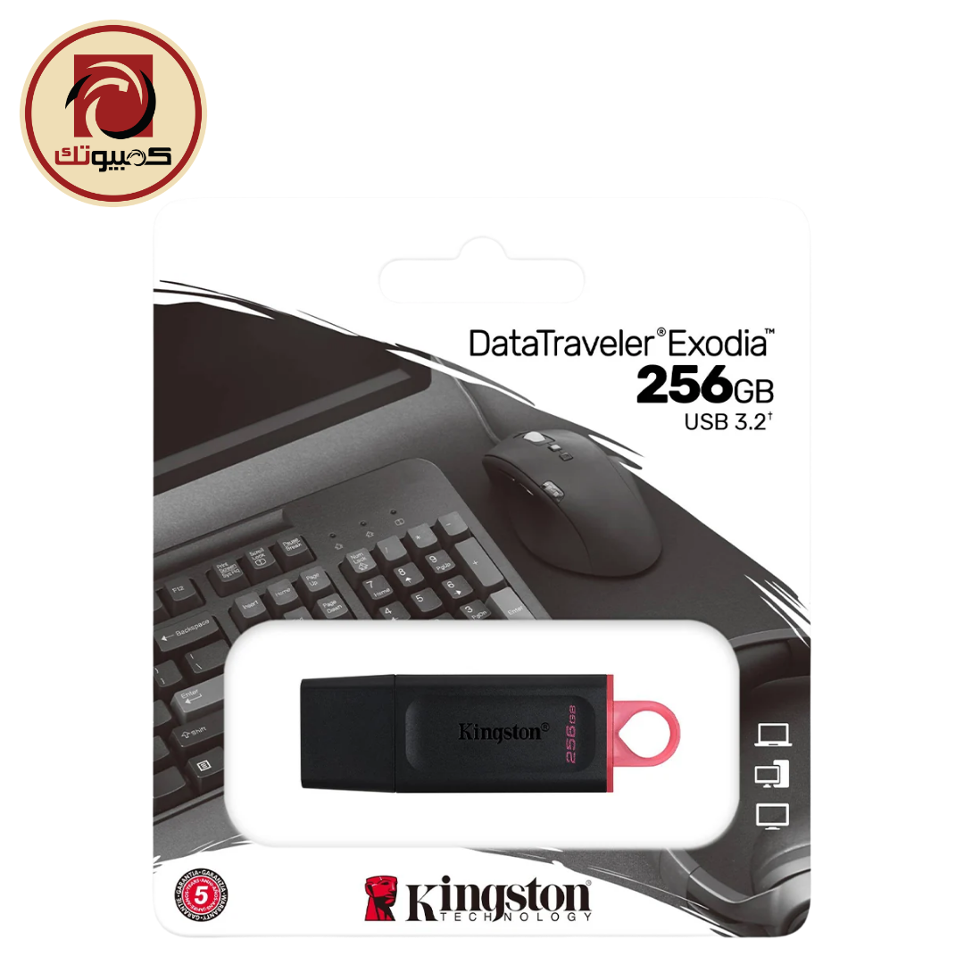 Flash Kingstone 256GB DTX Kingston DataTraveler Exodia 256GB USB 3.2 Gen 1 Flash Drive (DTX/256GB) - Image 1