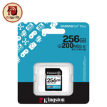 Kingston Canvas Go! Plus 256GB SDXC UHS-I Memory Card (SDG4/256GB)